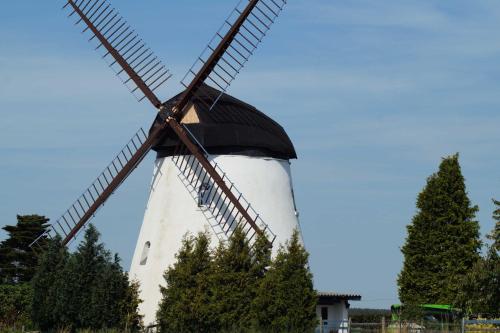 un moulin à vent dans un champ à ciel bleu dans l'établissement Mühlenurlaub Südheide, à Wittingen