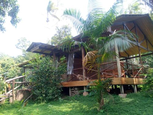 una casa con una palmera delante de ella en Eco Villa Uaturi, en Iquitos