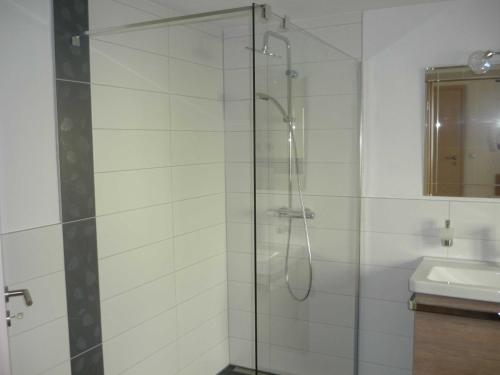 a bathroom with a glass shower with a sink at Ferienwohnungen beim Hotel zur Post, Erlau in Erlau