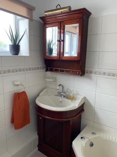 een badkamer met een wastafel en een spiegel bij Stratford upon Avon: 2 bed town centre apartment, parking for one car in Stratford-upon-Avon