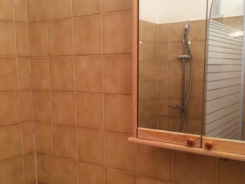 La salle de bains est pourvue d'une douche et d'un miroir. dans l'établissement Studio confortable pour 4 pers, balcon, proche télésiège, parking privé, animaux acceptés - FR-1-263-379, à Valloire