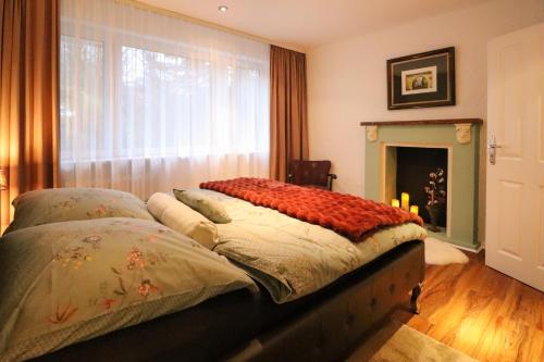 sypialnia z łóżkiem z oknem i kominkiem w obiekcie Birgits Landhaus Willingen w mieście Willingen