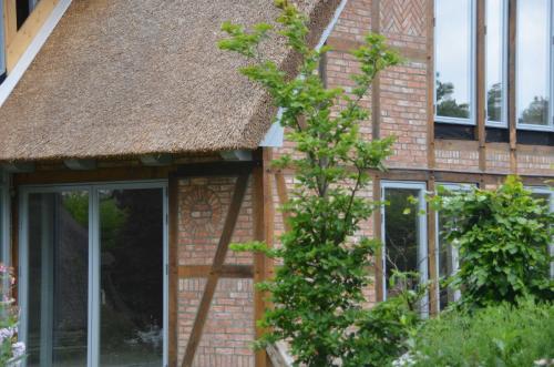 a window on a brick building with a thatch roof at Reetgedecktes Espenhaus in Grebin