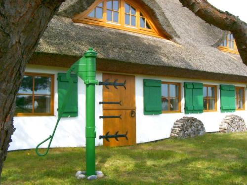 un palo verde di fronte a una casa con tetto di paglia di Appartement im Fischerhaus Hiddensee 33 qm a Neuendorf