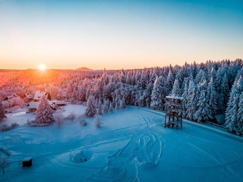 a winter view of a snow covered forest with the sunset at Berghaus in Kurort Bärenburg