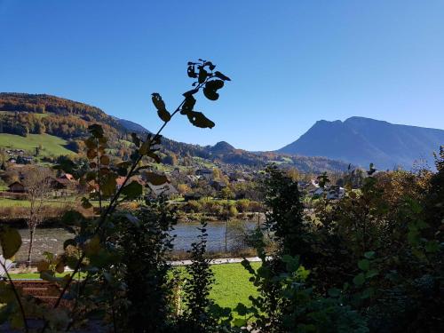 een uitzicht op een vallei met een rivier en bergen bij Apartments Winkler in Bad Goisern