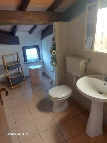 y baño con aseo y lavamanos. en Agriturismo La Verde Rosa, en Pescia Romana
