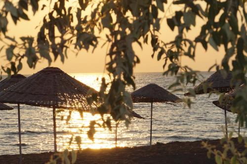 Gallery image of Dikelya Hotel in Dikili