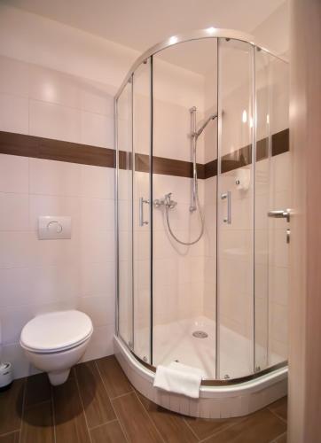 a bathroom with a shower and a toilet at Villa Altstadtperle Erfurt in Erfurt