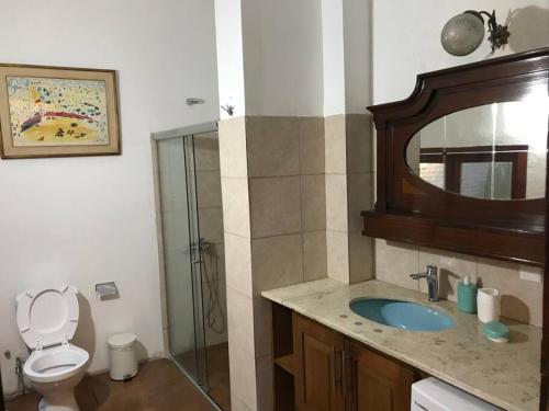 een badkamer met een wastafel, een toilet en een spiegel bij Galeón Nouveau (Apt 02). Terrace in The Oldtown in Montevideo