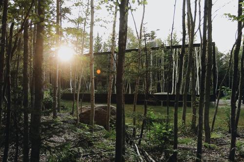 une maison dans une forêt où le soleil brille à travers les arbres dans l'établissement Réflexion Charlevoix - Maisons Miroirs, à Petite-Rivière-Saint-François