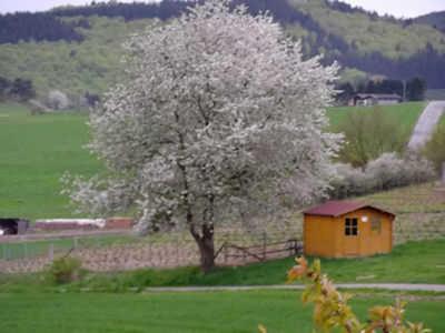 גינה חיצונית ב-Ferienwohnung Haus Weitblick