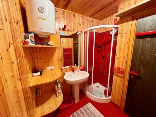 a wooden bathroom with a shower and a sink at Tormentina - Piancavallo in Piancavallo