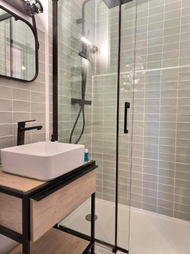 une salle de bain avec un lavabo et une douche dans l'établissement Le Pastelier - Parking privé - Clim, à Albi