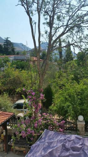 Gallery image of Apartments Beba Zalad in Sutomore