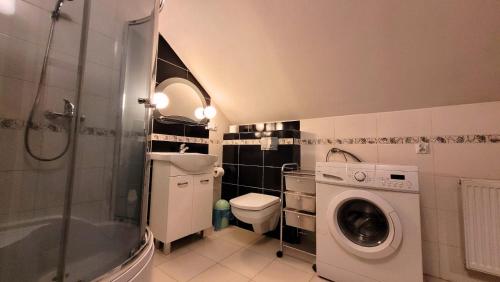 een badkamer met een wasmachine en een toilet bij Urszulin, centrum, tereny PPN in Urszulin