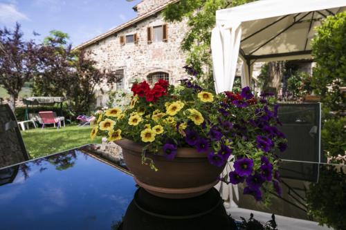 a pot of flowers sitting next to a pool at Casale Le Masse in Greve in Chianti