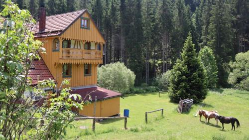 RötenbachにあるHaus Heimburgの野原に2頭の馬が立っている家