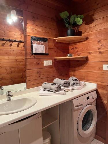 une salle de bain avec un lavabo et une machine à laver dans l'établissement Chalet 3 étoiles à Gérardmer., à Gérardmer