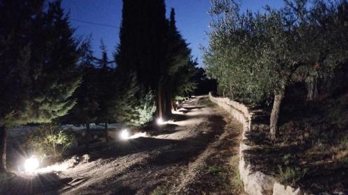 a dirt road at night with lights on at Fattoria F.lli Marsolo in Chiusa Sclafani