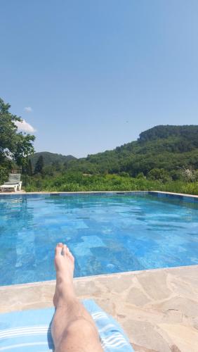 Appartement Le Nid des hirondelles tout confort au cœur de la nature dans un véritable Mas Cévenol