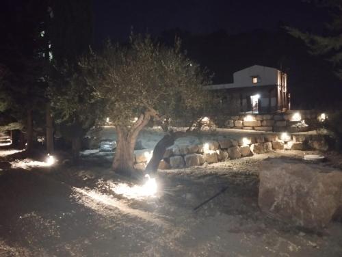 a tree with lights in a yard at night at Fattoria F.lli Marsolo in Chiusa Sclafani