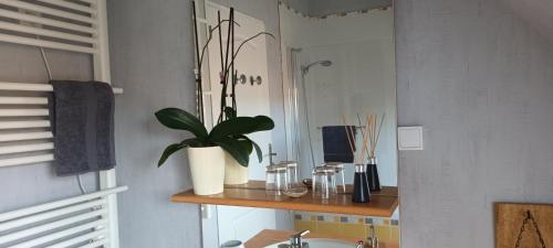 a bathroom with a sink and a plant on a shelf at La Maison des Poulains in Sauzon