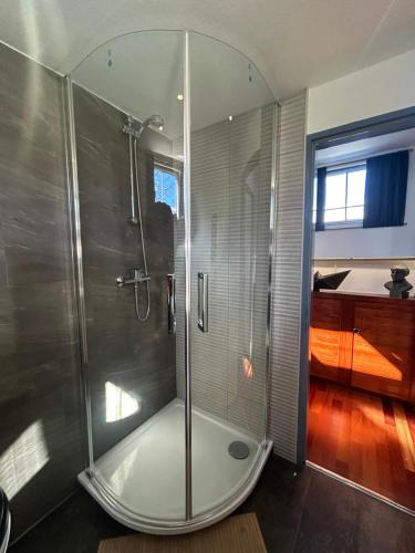 um chuveiro com uma porta de vidro na casa de banho em Au fil de l'eau et Spa em Plobsheim