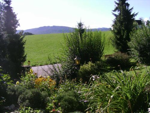 Ferienwohnung in Haidach في Pettighofen: حديقة بها شجيرات وأشجار وميدان أخضر