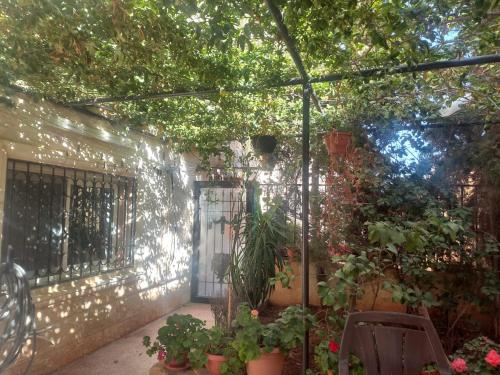 a garden with plants and a fence and a gate at شقه مفروشه مع حديقه اربد بجانب مدارس دار العلوم in Irbid