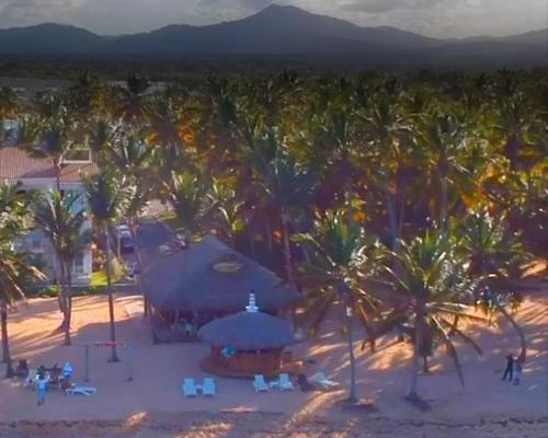 eine Luftblick auf einen Strand mit Palmen in der Unterkunft Bello y cómodo apartamento, frente al mar in Punta Cana