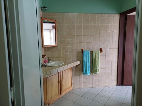 een badkamer met een wastafel en een spiegel bij Le Palmier in Trou aux Biches