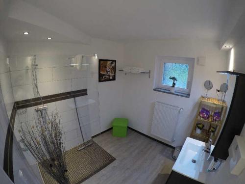 a bathroom with a shower and a sink and a window at 4 Sterne Ferienwohnung Schlossblick Sauna Pool Whirlpool pri in Braunfels