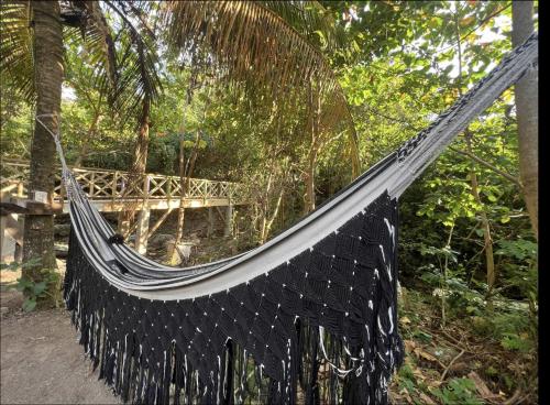 a hammock in the middle of a forest at JAZMIN HOUSEs JR in Providencia