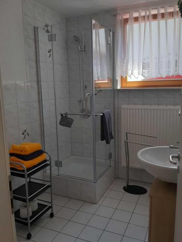 bagno con doccia e lavandino di Ferienwohnung Am Südhang a Ettenheim