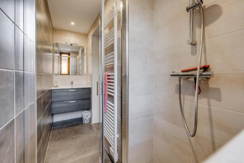a bathroom with a shower and a sink at SARL HARTWEG Les Amandiers in Beblenheim