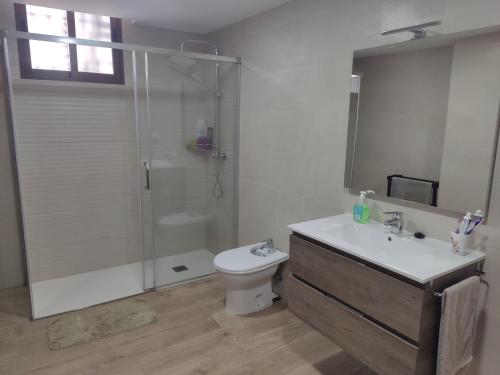 een badkamer met een douche, een toilet en een wastafel bij El rincón de la buena vista in Las Gabias