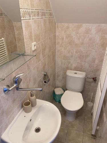 y baño con lavabo blanco y aseo. en Penzion BeSeDa, en Bratronice