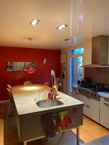 une cuisine avec un évier et un plan de travail dans l'établissement Maison de ville La Défense, à Courbevoie