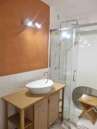 une salle de bain avec un lavabo et une douche dans l'établissement Sur la plage avec vue plongeante sur la mer, à Marseillan