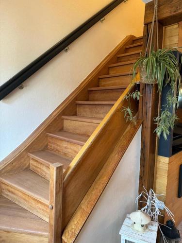 a stairway with wooden steps with a potted plant at La tanière in La Broque