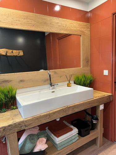 a bathroom with a white sink and a mirror at La tanière in La Broque