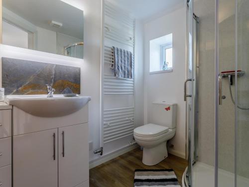 a bathroom with a toilet and a sink and a shower at 3 Bed in Wellington 78595 in Sampford Arundel