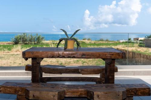 una mesa de madera con una maceta en la parte superior en Seafront Villa Blue Agave, en Néa Magnisía