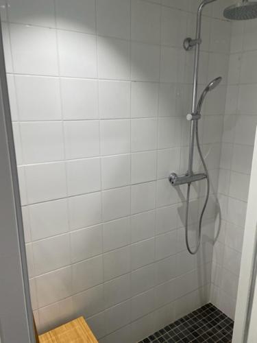 a shower stall with a shower head in a bathroom at Belle et agréable maison de ville 9 chambres in Saint-Étienne