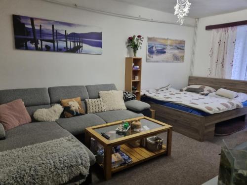 ein Wohnzimmer mit einem Sofa und einem Bett in der Unterkunft Penzion Tomy1 in Horní Planá