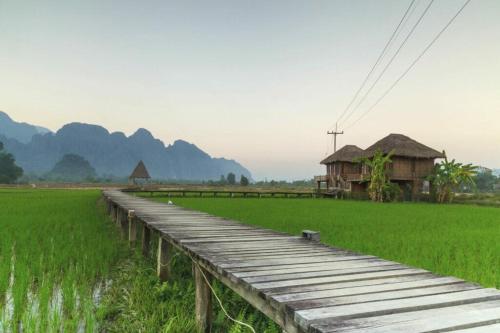 een houten brug over een rijstveld met een huis op de achtergrond bij Champa Inn Hotel in Vang Vieng
