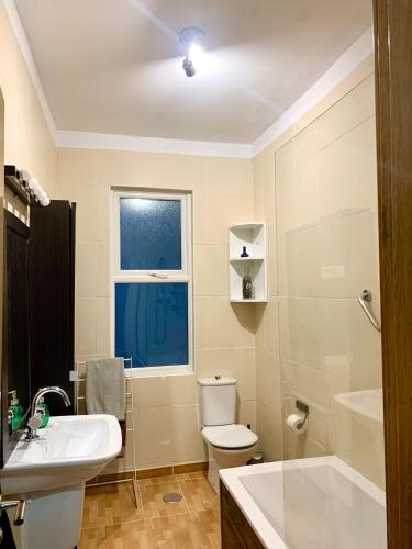 a bathroom with a sink and a toilet and a window at Antolín Yellow Door in Ponferrada