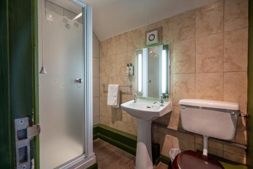 a bathroom with a sink and a toilet and a shower at Bourne Valley Inn in Saint Mary Bourne