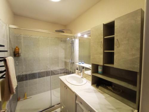 a bathroom with a sink and a shower at Chez Jean-Claude, vue panoramique au réveil in Poitiers